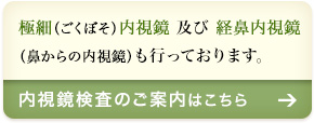 内視鏡検査のご案内はこちら