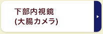 下部内視鏡(大腸カメラ)