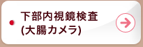 下部内視鏡検査(大腸カメラ)